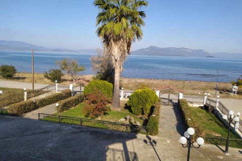 450m² Villa à Euboea, Greece No. 55767 16