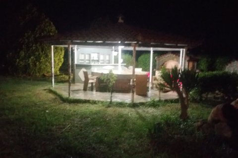 450m² Villa à Euboea, Greece No. 55767 21