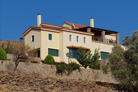 600m² Villa in Aegina, Greece No. 57694 2