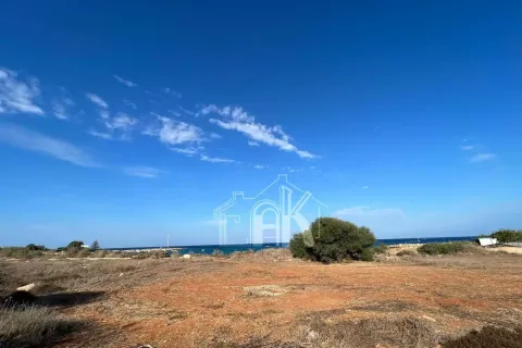 5620m² Land à Protaras, Cyprus No. 36043 8