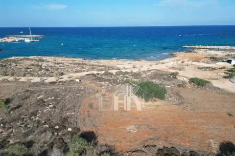 5620m² Land en Protaras, Cyprus No. 36043 3