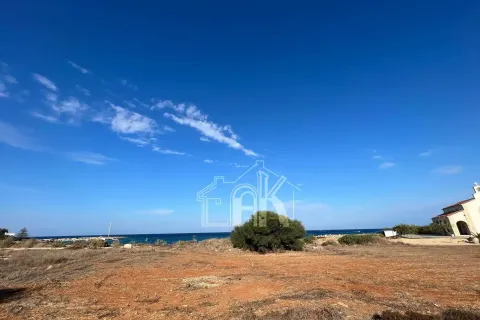 5620m² Land in Protaras, Cyprus No. 36043 5