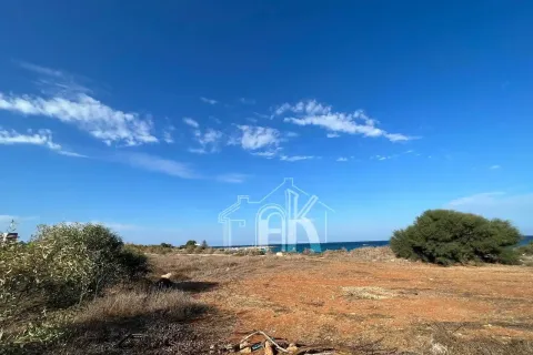 5620m² Land en Protaras, Cyprus No. 36043 6