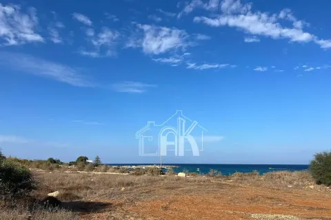 5620m² Land in Protaras, Cyprus No. 36043 4