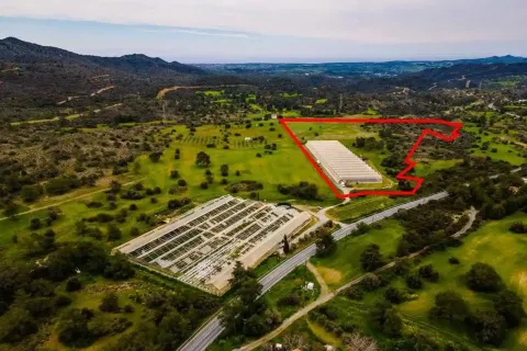 66220m² Land in Kornos, Cyprus No. 35470 6