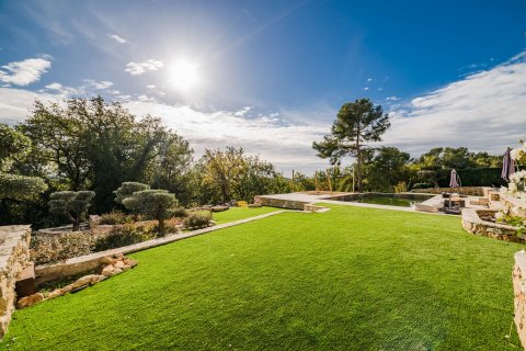 4 chambres Villa à Tourrettes-sur-Loup, France No. 69042 10