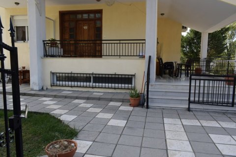 5 chambres Villa à Chalkidiki, Greece No. 48770 15