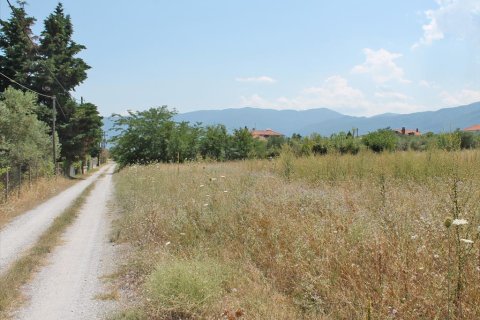 5000m² Land in Litochoro, Greece No. 58610 1