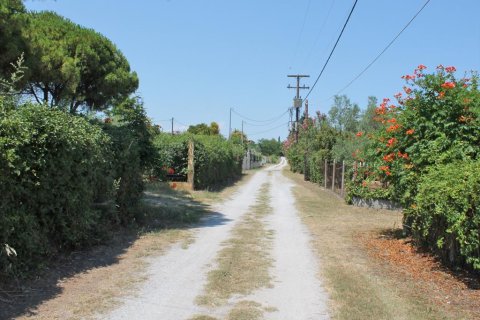 5000m² Land in Litochoro, Greece No. 58610 3