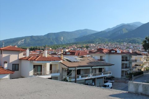 550m² Business in Litochoro, Greece No. 58609 4