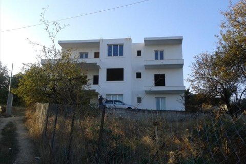 480m² House en Euboea, Greece No. 58612 3