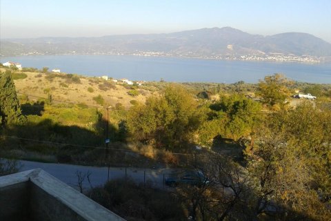 480m² House à Euboea, Greece No. 58612 6