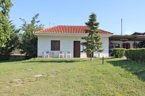 12 bedrooms Villa in Litochoro, Greece No. 58608 21