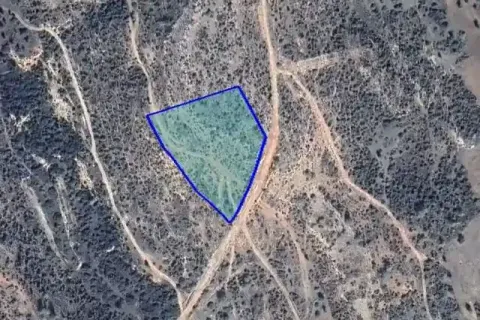 9790m² Land à Pissouri, Cyprus No. 44091 1