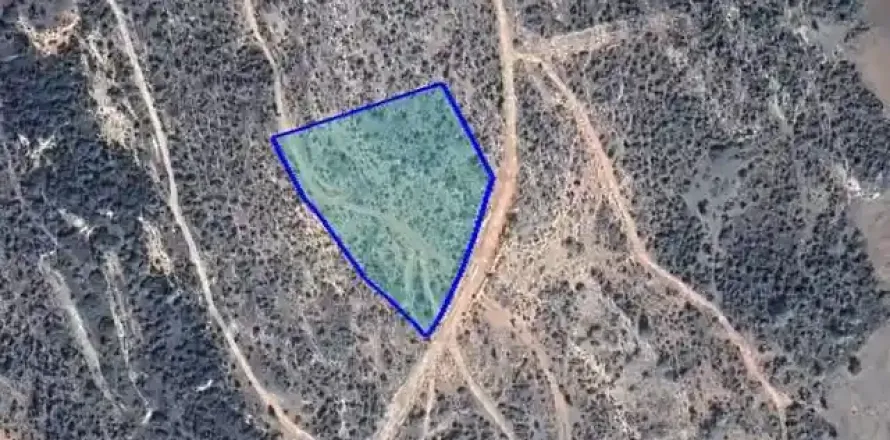 9790m² Land en Pissouri, Cyprus No. 44091