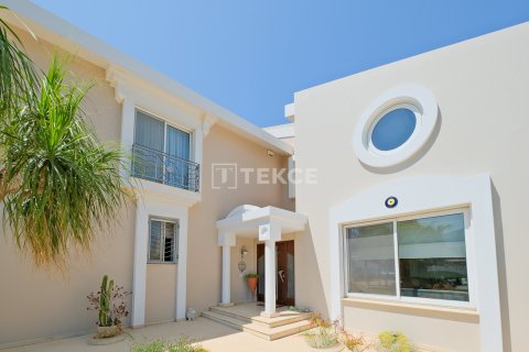 8+3 Villa à Izmir, Turkey No. 53503 19