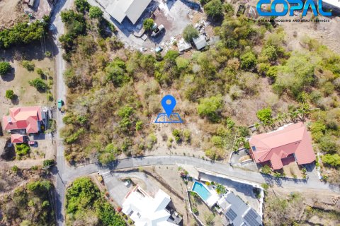 2520.65m² Land in Lance Aux Epines, Grenada No. 53191 4