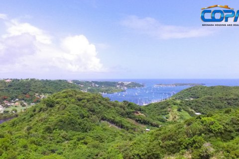 6782.2m² Land in Mount Hartman, Grenada No. 53186 5