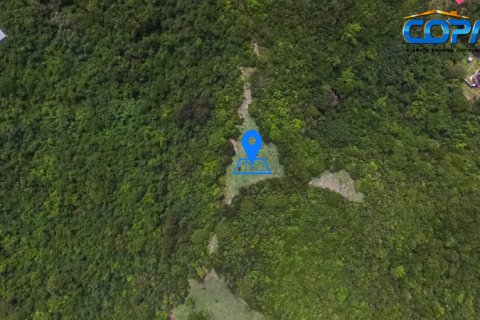 6782.2m² Land in Mount Hartman, Grenada No. 53186 1