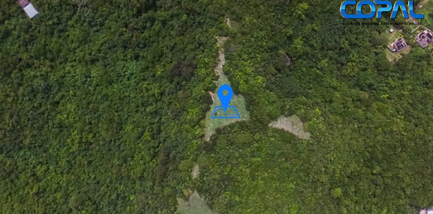 6782.2m² Land in Mount Hartman, Grenada No. 53186