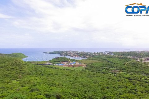 6782.2m² Land in Mount Hartman, Grenada No. 53186 7