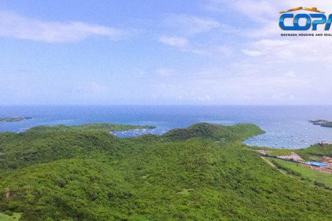 6782.2m² Land in Mount Hartman, Grenada No. 53186 9