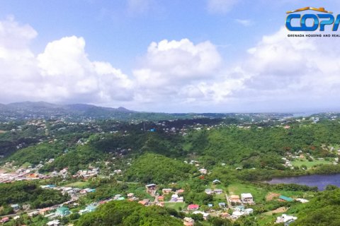 6782.2m² Land in Mount Hartman, Grenada No. 53186 3