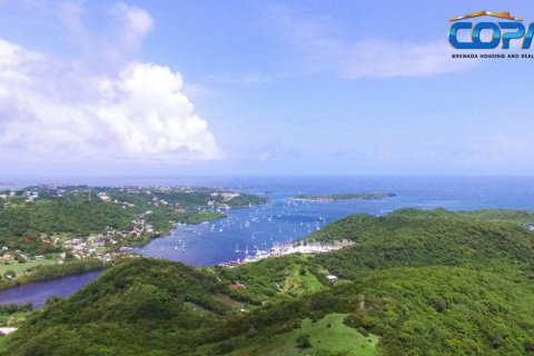 6782.2m² Land in Mount Hartman, Grenada No. 53186 4