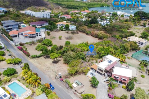 856.1m² Land in Lance Aux Epines, Grenada No. 53176 7