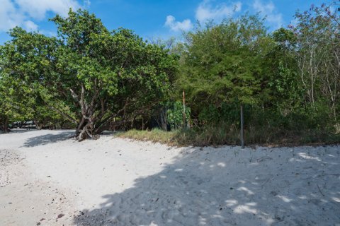 12241.74m² Land in Morne Rouge, Grenada No. 53190 10