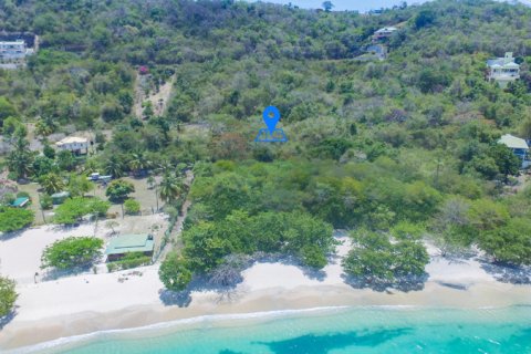 12241.74m² Land in Morne Rouge, Grenada No. 53190 7