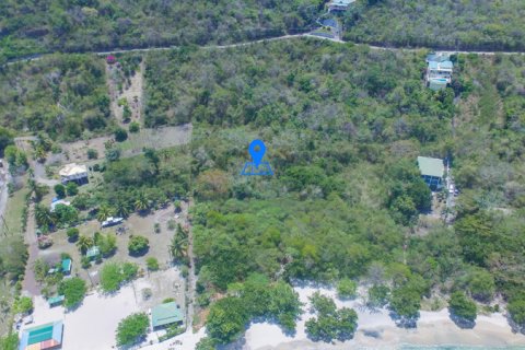 12241.74m² Land in Morne Rouge, Grenada No. 53190 8