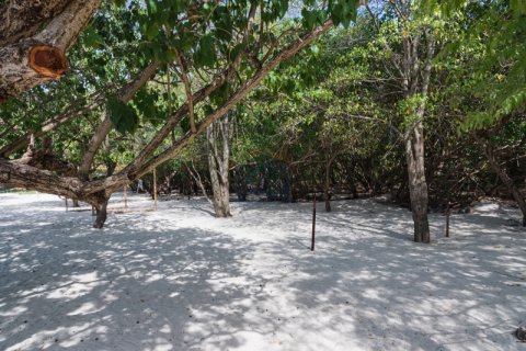 12241.74m² Land in Morne Rouge, Grenada No. 53190 12