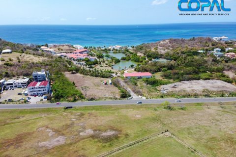 16826.78m² Land in Point Salines, Grenada No. 53189 4