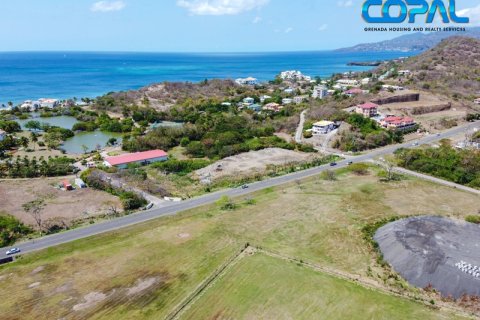 16826.78m² Land in Point Salines, Grenada No. 53189 5