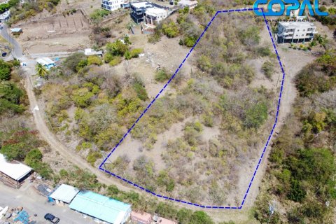 16826.78m² Land in Point Salines, Grenada No. 53189 3