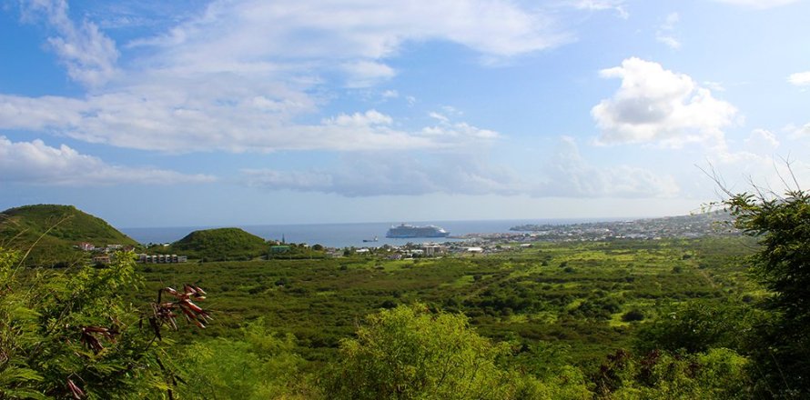 1082.07m² Land in Frigate Bay, Saint Kitts and Nevis No. 61549