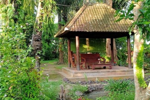 3 bedrooms Villa in Denpasar, Indonesia No. 23213 8