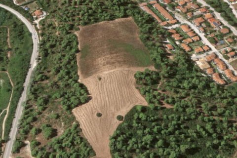 12100m² Land in Chalkidiki, Greece No. 56282 1