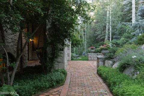 7 chambres House à Beaver Creek, USA No. 62124 3