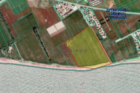 59510m² Land en Pervolia, Cyprus No. 76103 2