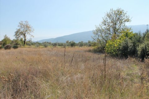 470m² Commercial property en Pieria, Greece No. 49733 4