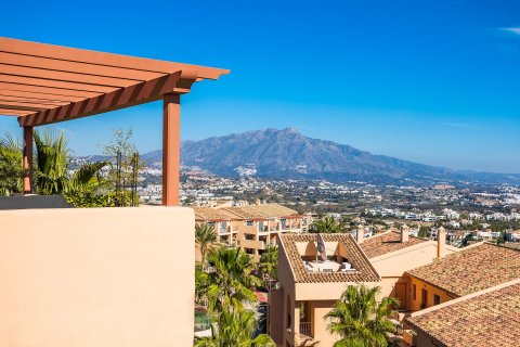 3 chambres Penthouse à Benahavis, Spain No. 27415 22