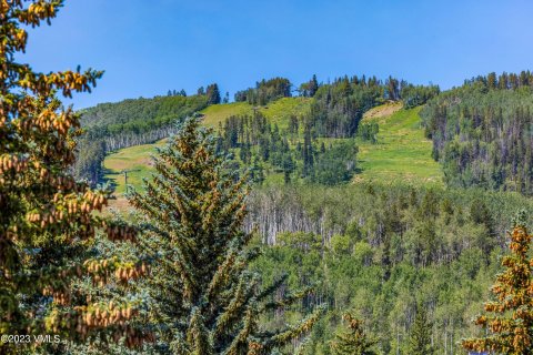 2 chambres Copropriété  à Beaver Creek, USA No. 62019 30