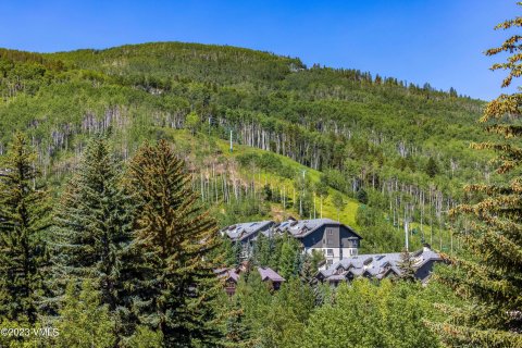 2 dormitorios Condominio  en Beaver Creek, USA No. 62019 29