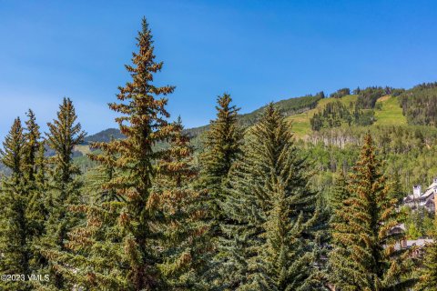 2 chambres Copropriété  à Beaver Creek, USA No. 62019 28