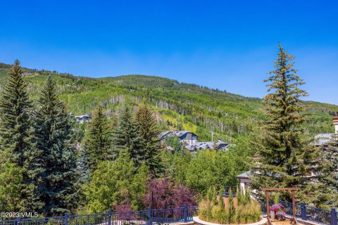 2 dormitorios Condominio  en Beaver Creek, USA No. 62019 26