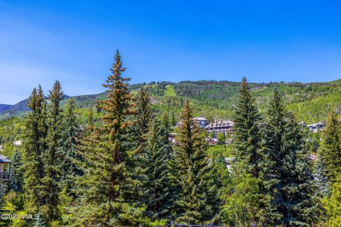 2 chambres Copropriété  à Beaver Creek, USA No. 62019 25