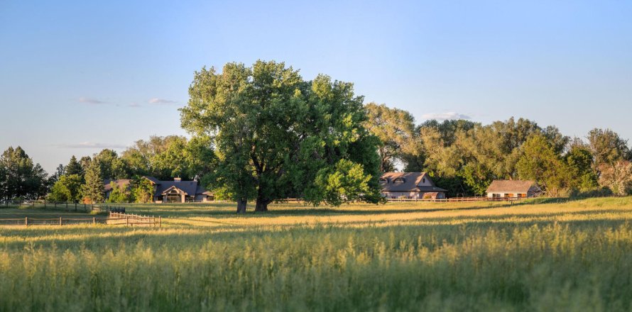 5 chambres House à Boulder, USA No. 62014