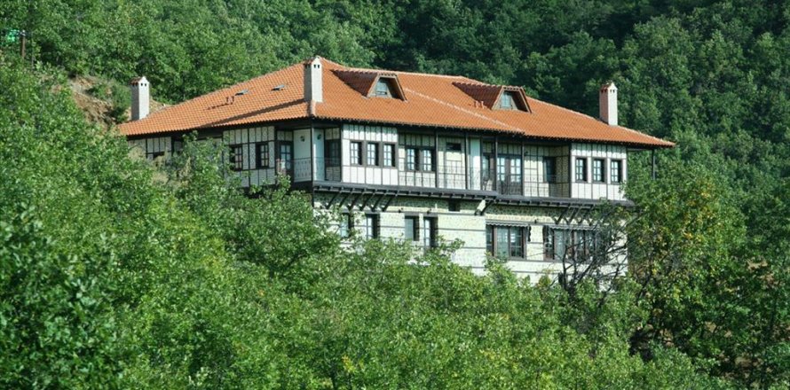 Hotel in Pieria, Greece No. 60640